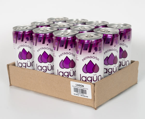 Agua Lagün Flor de Sauco Pack 12