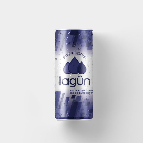 Agua Lagün Blueberry Pack 12