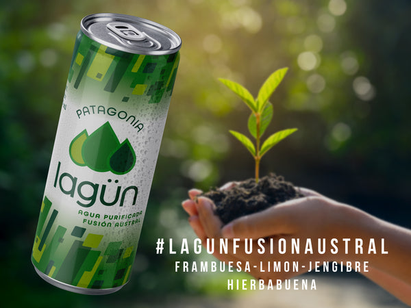 Agua Lagün Variedades Pack 12