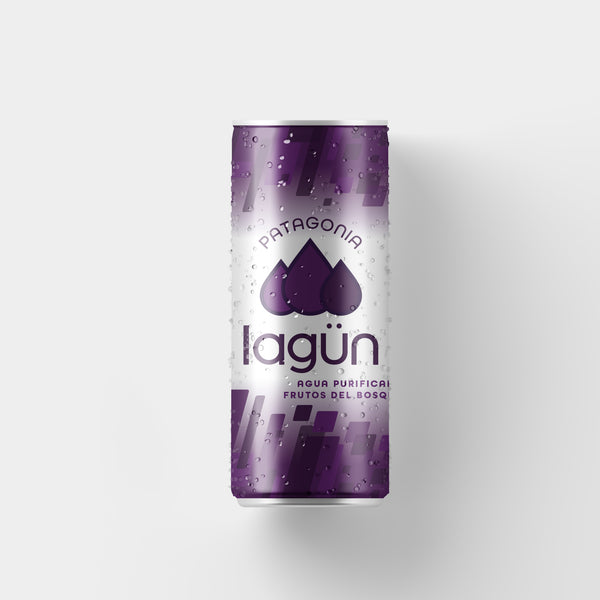 Agua Lagün Frutos del Bosque Pack 12