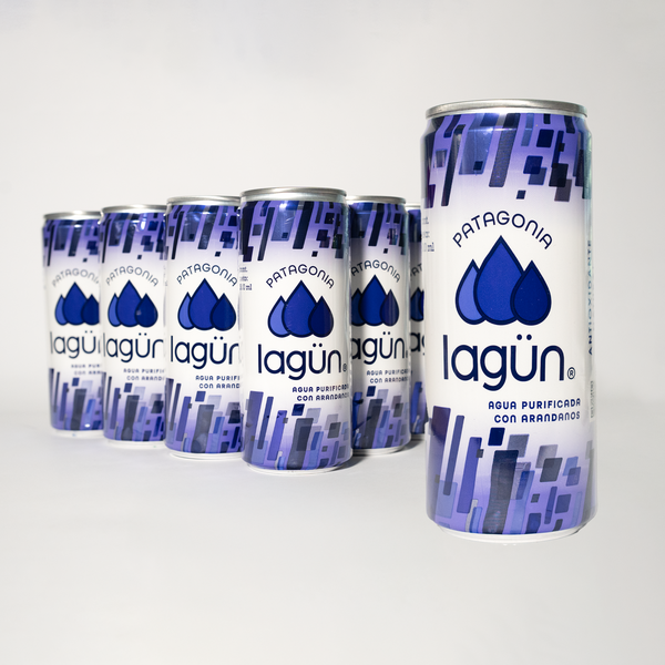 Agua Lagün Blueberry Pack 12