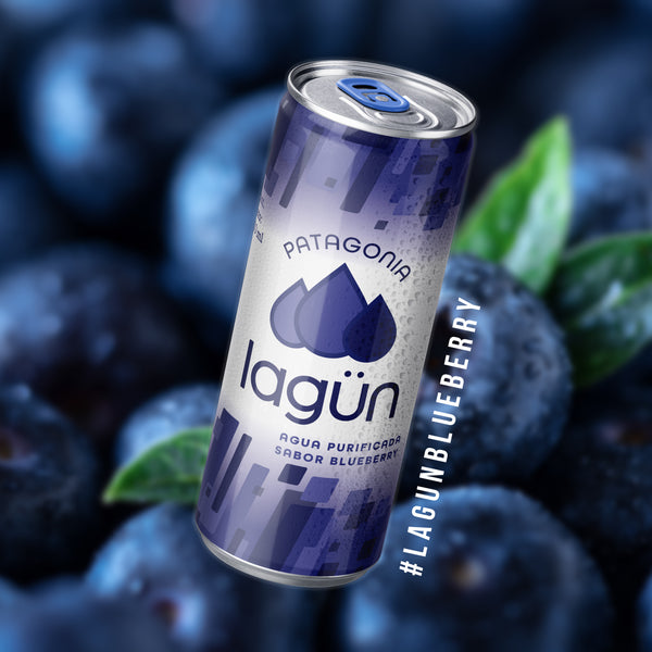 Agua Lagün Blueberry Pack 12