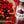 Agua Lagün Cranberry Pack 12