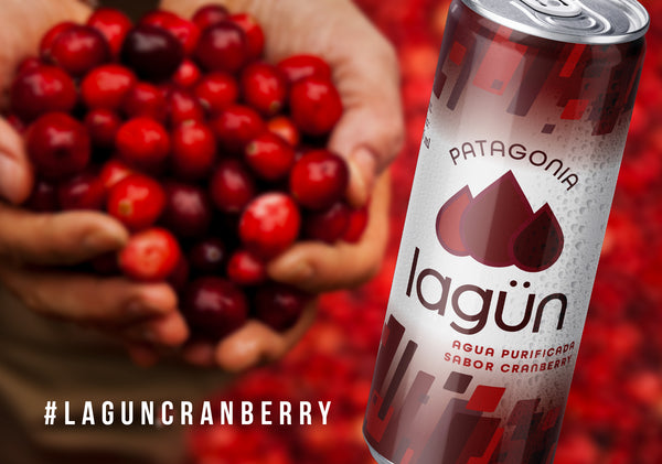 Agua Lagün Cranberry Pack 12