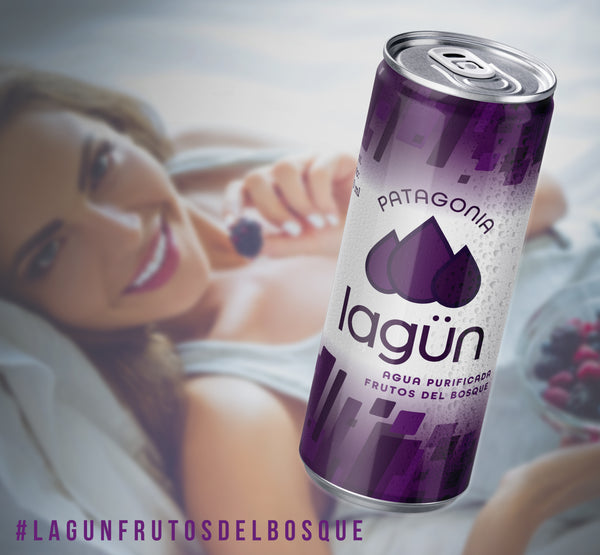 Agua Lagün Frutos del Bosque Pack 12