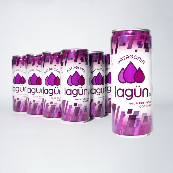 Agua Lagün Flor de Sauco Pack 12